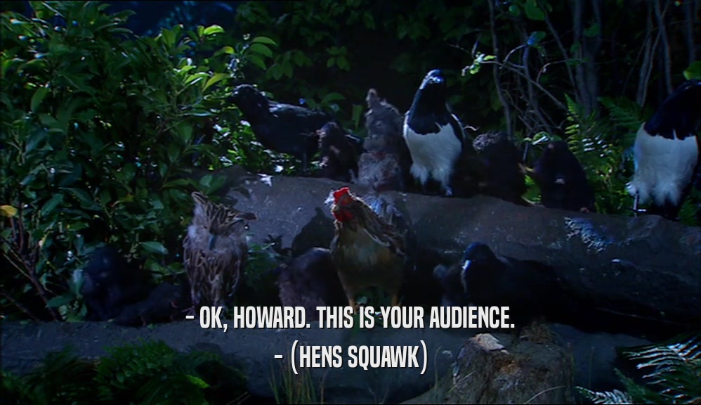 - OK, HOWARD. THIS IS YOUR AUDIENCE. - (HENS SQUAWK) 