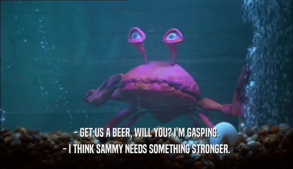 - GET US A BEER, WILL YOU? I'M GASPING.
 - I THINK SAMMY NEEDS SOMETHING STRONGER.
 
