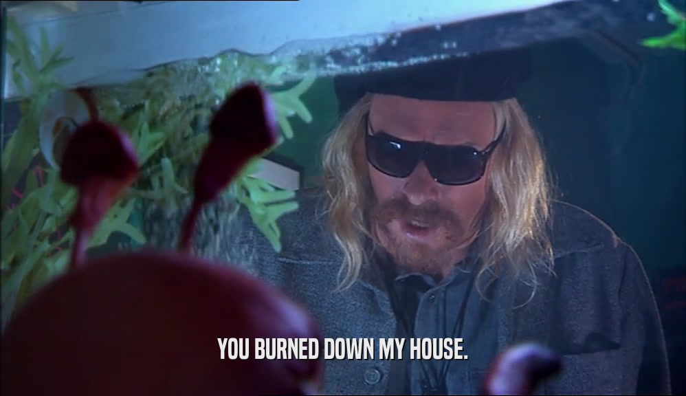 YOU BURNED DOWN MY HOUSE.  