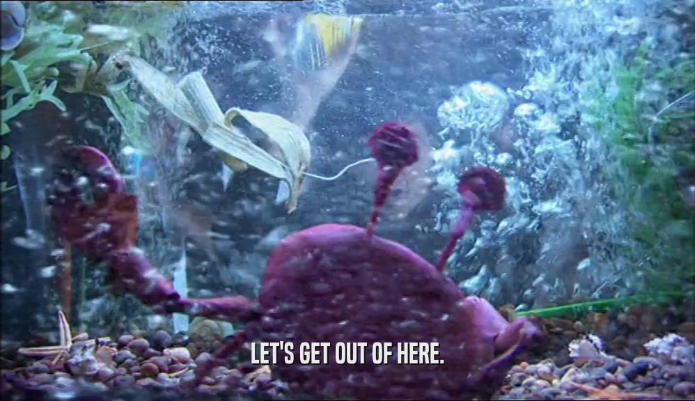 LET'S GET OUT OF HERE.  