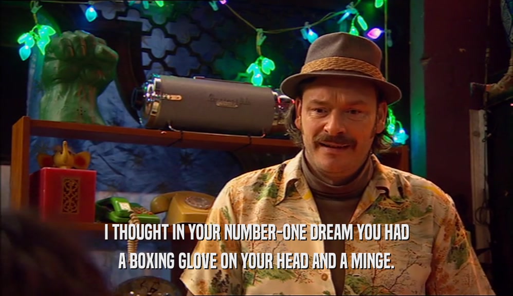 I THOUGHT IN YOUR NUMBER-ONE DREAM YOU HAD A BOXING GLOVE ON YOUR HEAD AND A MINGE. 
