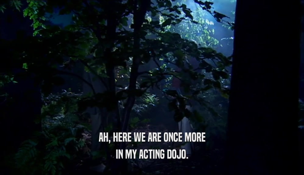 AH, HERE WE ARE ONCE MORE IN MY ACTING DOJO. 