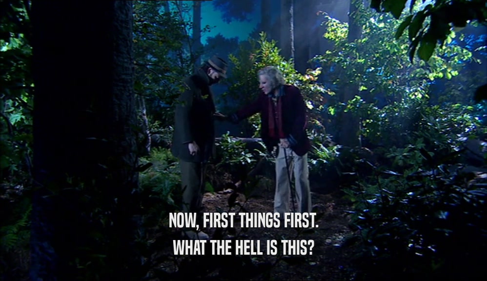 NOW, FIRST THINGS FIRST. WHAT THE HELL IS THIS? 