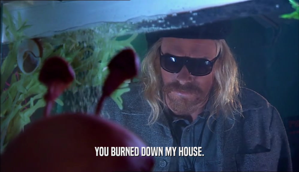 YOU BURNED DOWN MY HOUSE.
  
