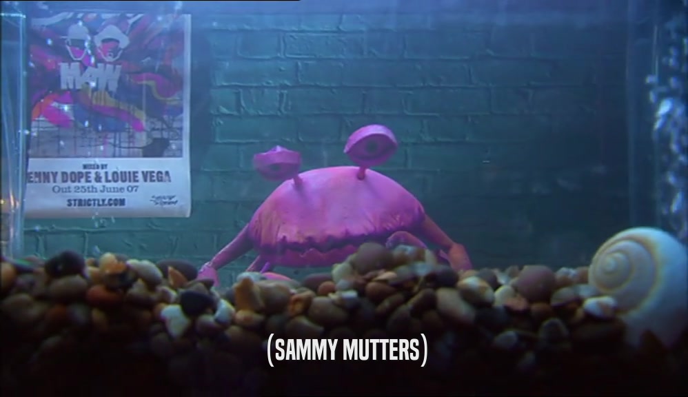 (SAMMY MUTTERS)  