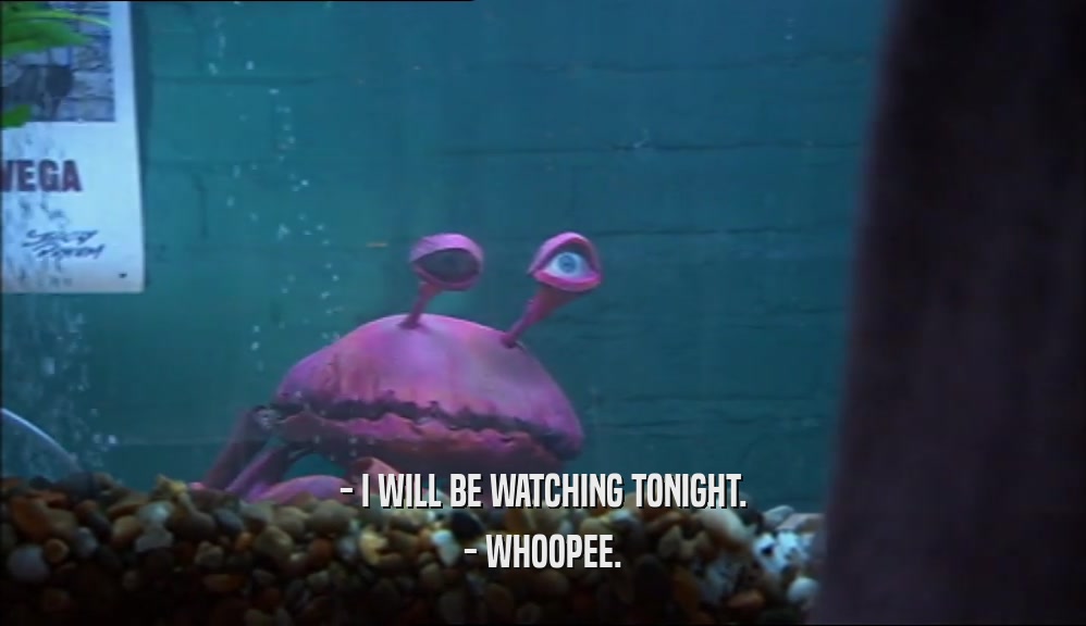 - I WILL BE WATCHING TONIGHT.
 - WHOOPEE.
 