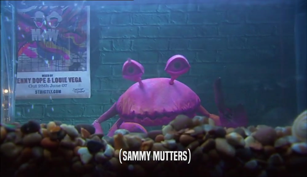 (SAMMY MUTTERS)  