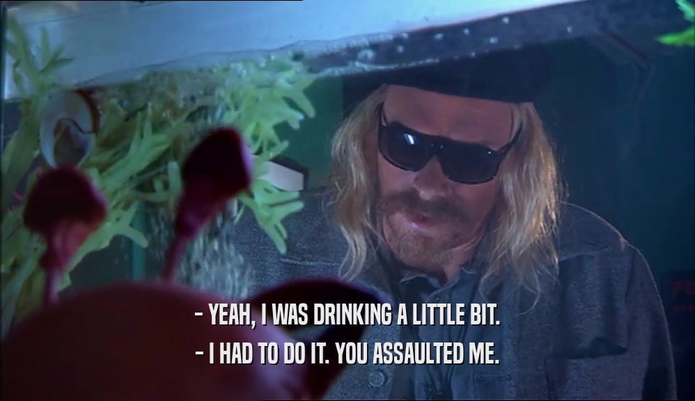 - YEAH, I WAS DRINKING A LITTLE BIT. - I HAD TO DO IT. YOU ASSAULTED ME. 