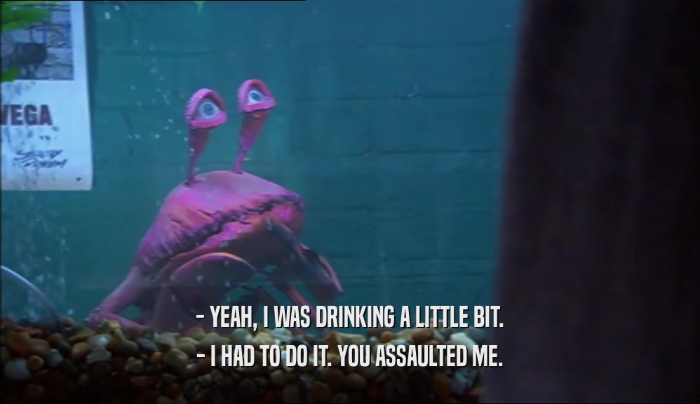- YEAH, I WAS DRINKING A LITTLE BIT. - I HAD TO DO IT. YOU ASSAULTED ME. 