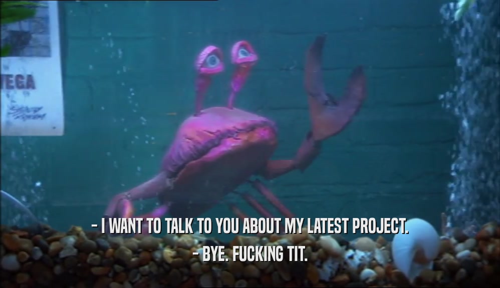 - I WANT TO TALK TO YOU ABOUT MY LATEST PROJECT. - BYE. FUCKING TIT. 