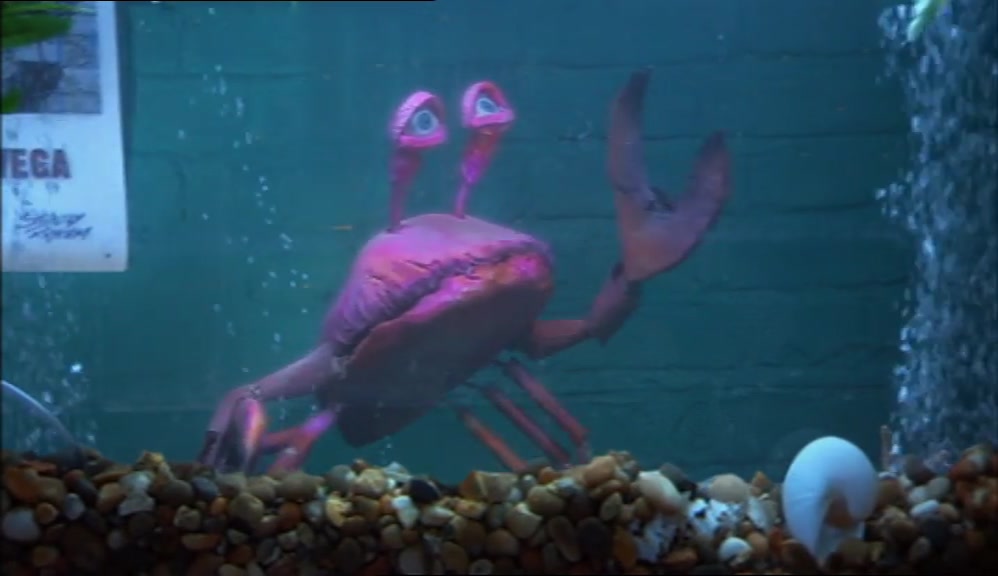 - I WANT TO TALK TO YOU ABOUT MY LATEST PROJECT. - BYE. FUCKING TIT. 