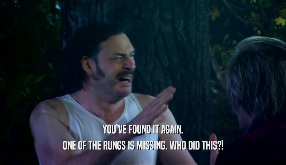 YOU'VE FOUND IT AGAIN. ONE OF THE RUNGS IS MISSING. WHO DID THIS?! 