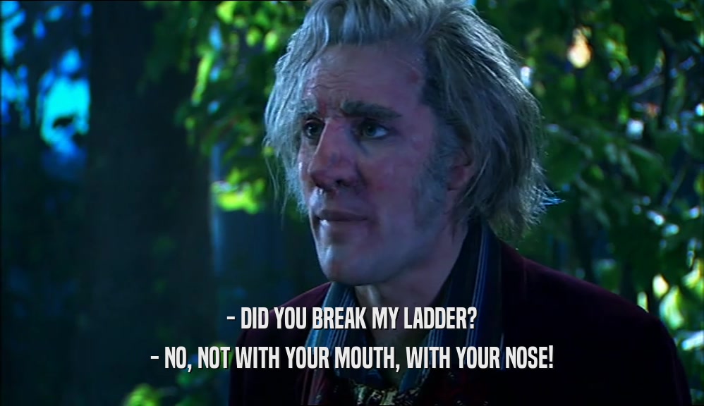- DID YOU BREAK MY LADDER? - NO, NOT WITH YOUR MOUTH, WITH YOUR NOSE! 