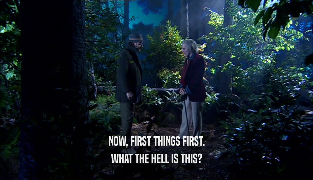 NOW, FIRST THINGS FIRST. WHAT THE HELL IS THIS? 