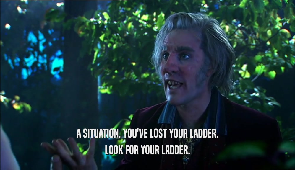 A SITUATION. YOU'VE LOST YOUR LADDER. LOOK FOR YOUR LADDER. 