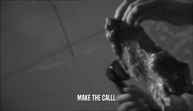 MAKE THE CALLL
  