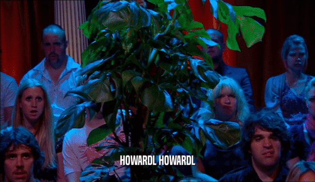 HOWARDL HOWARDL  