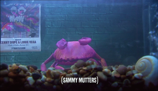(SAMMY MUTTERS)  