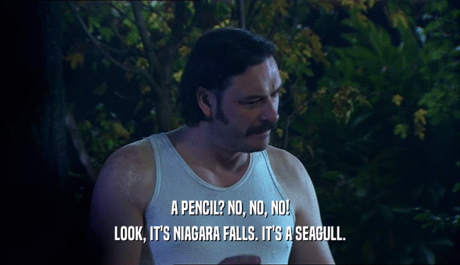 A PENCIL? NO, NO, NO!
 LOOK, IT'S NIAGARA FALLS. IT'S A SEAGULL.
 