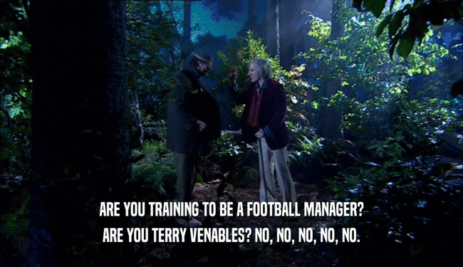 ARE YOU TRAINING TO BE A FOOTBALL MANAGER? ARE YOU TERRY VENABLES? NO, NO, NO, NO, NO. 
