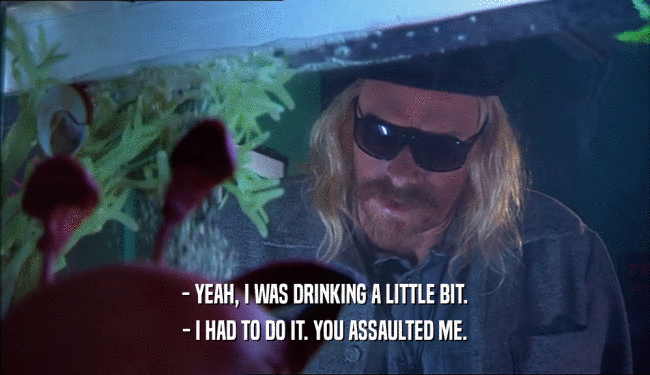 - YEAH, I WAS DRINKING A LITTLE BIT. - I HAD TO DO IT. YOU ASSAULTED ME. 