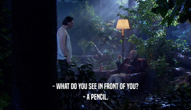 - WHAT DO YOU SEE IN FRONT OF YOU?
 - A PENCIL.
 
