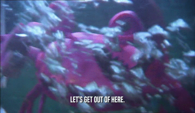 LET'S GET OUT OF HERE.  