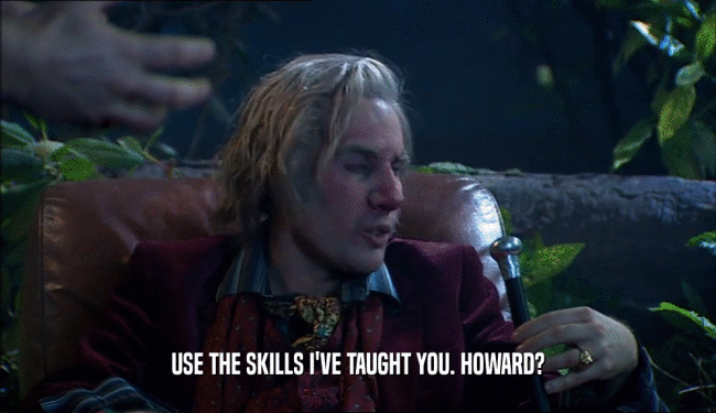 USE THE SKILLS I'VE TAUGHT YOU. HOWARD?  