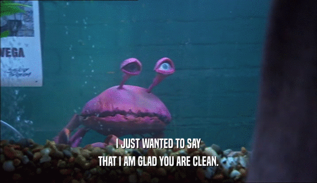 I JUST WANTED TO SAY
 THAT I AM GLAD YOU ARE CLEAN.
 
