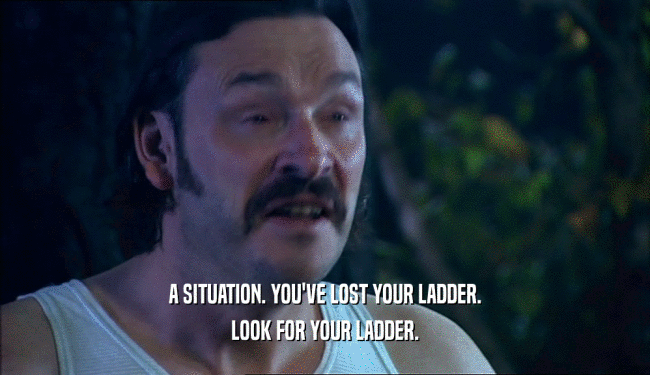 A SITUATION. YOU'VE LOST YOUR LADDER. LOOK FOR YOUR LADDER. 