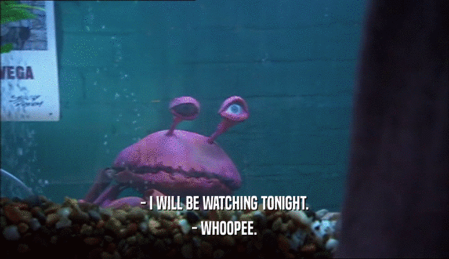 - I WILL BE WATCHING TONIGHT. - WHOOPEE. 