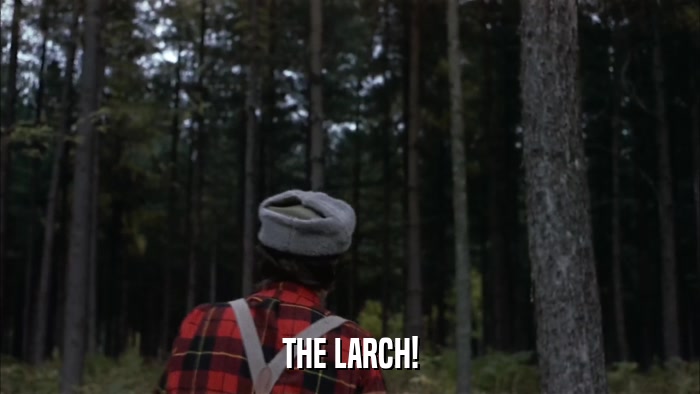 THE LARCH!  