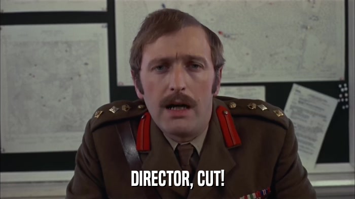 DIRECTOR, CUT!  