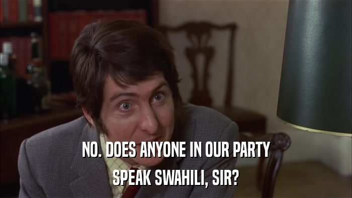 NO. DOES ANYONE IN OUR PARTY SPEAK SWAHILI, SIR? 