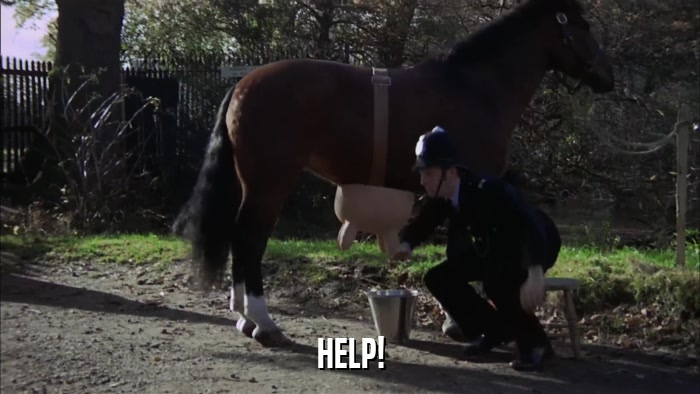 HELP!  