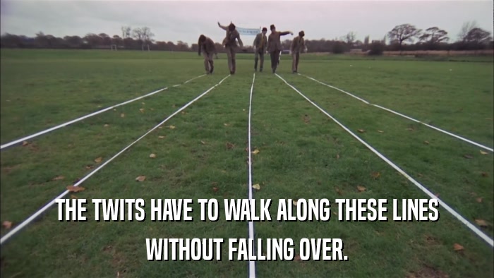 THE TWITS HAVE TO WALK ALONG THESE LINES WITHOUT FALLING OVER. 