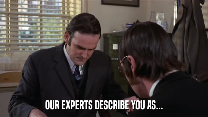 OUR EXPERTS DESCRIBE YOU AS...  