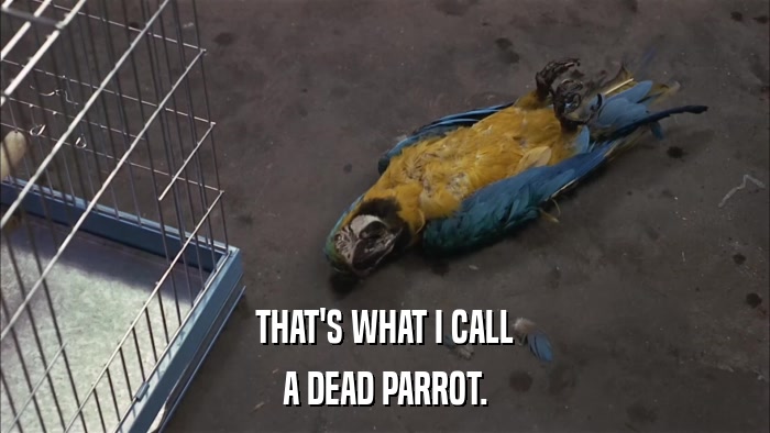 THAT'S WHAT I CALL A DEAD PARROT. 