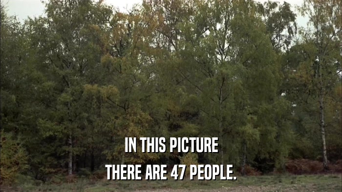 IN THIS PICTURE THERE ARE 47 PEOPLE. 