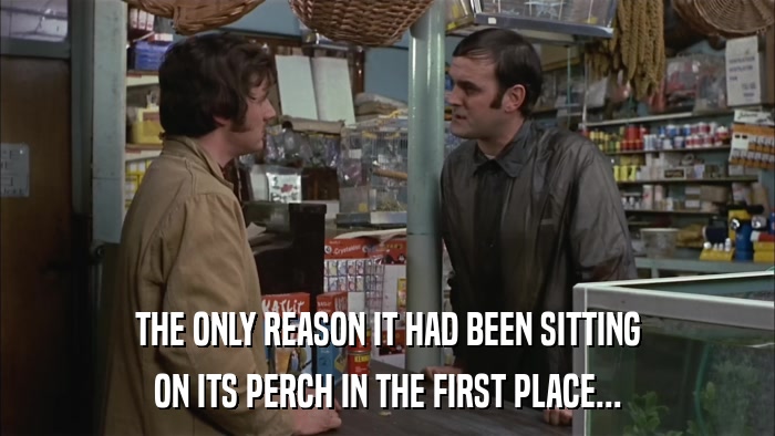 THE ONLY REASON IT HAD BEEN SITTING ON ITS PERCH IN THE FIRST PLACE... 