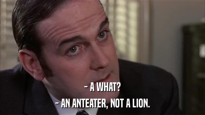 - A WHAT? - AN ANTEATER, NOT A LION. 