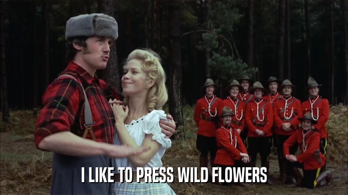I LIKE TO PRESS WILD FLOWERS  