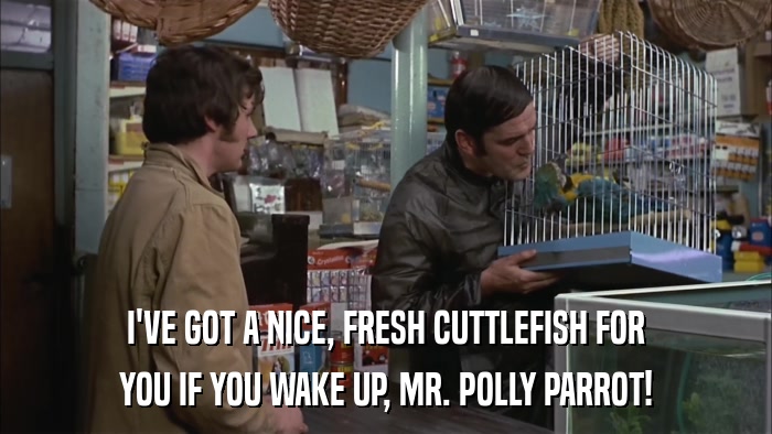I'VE GOT A NICE, FRESH CUTTLEFISH FOR YOU IF YOU WAKE UP, MR. POLLY PARROT! 