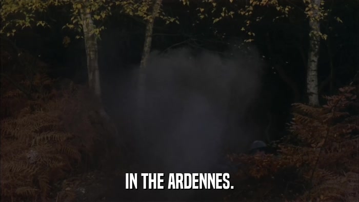 IN THE ARDENNES.  