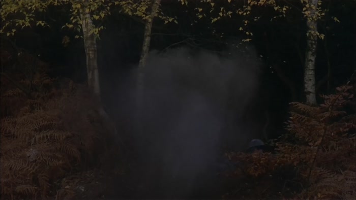 IN THE ARDENNES.  