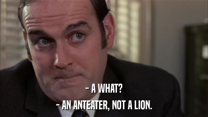 - A WHAT? - AN ANTEATER, NOT A LION. 