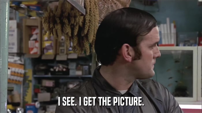 I SEE. I GET THE PICTURE.  