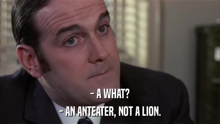 - A WHAT? - AN ANTEATER, NOT A LION. 