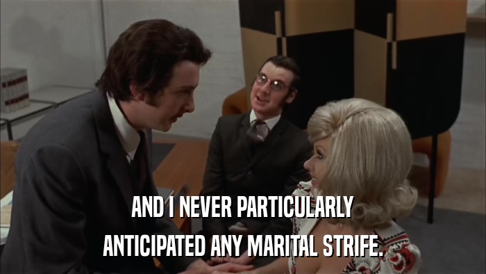 AND I NEVER PARTICULARLY ANTICIPATED ANY MARITAL STRIFE. 