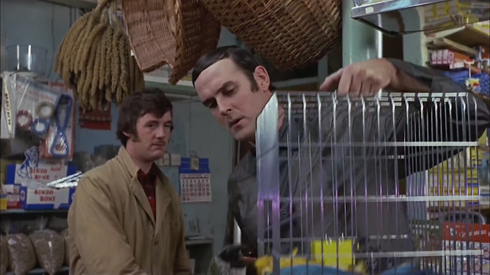 NEVER MIND THAT, MY LAD. I WISH TO COMPLAIN ABOUT THIS PARROT... 